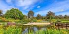 Japanese Garden - Cowra 